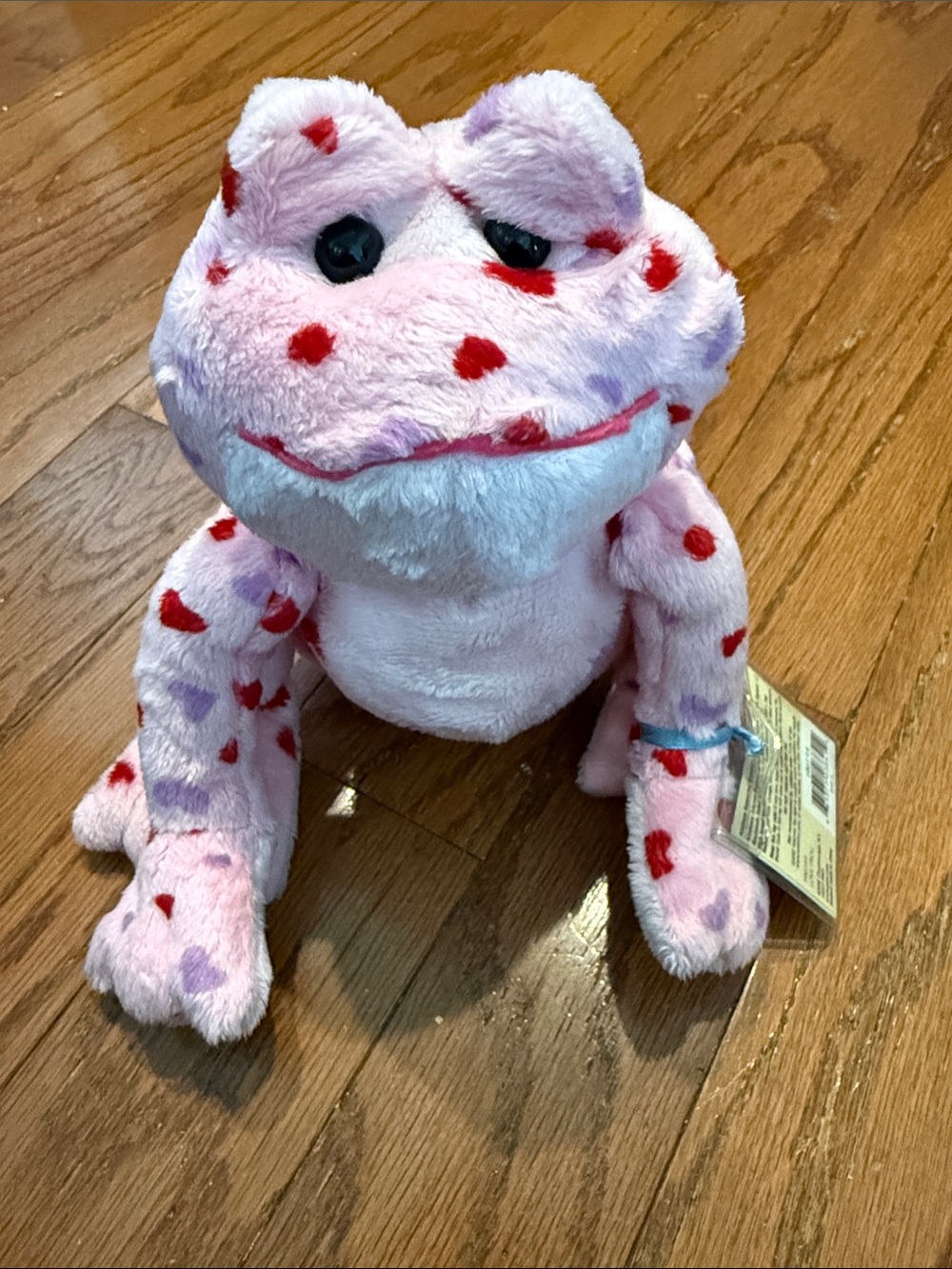 GANZ Webkinz Love Frog Pink Plush Frog with Red Heart Spots NWT